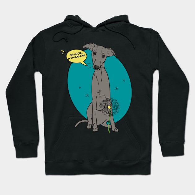 Funny greyhound design; Grey Italian greyhound with a dandelion flower Hoodie by This Iggy Life